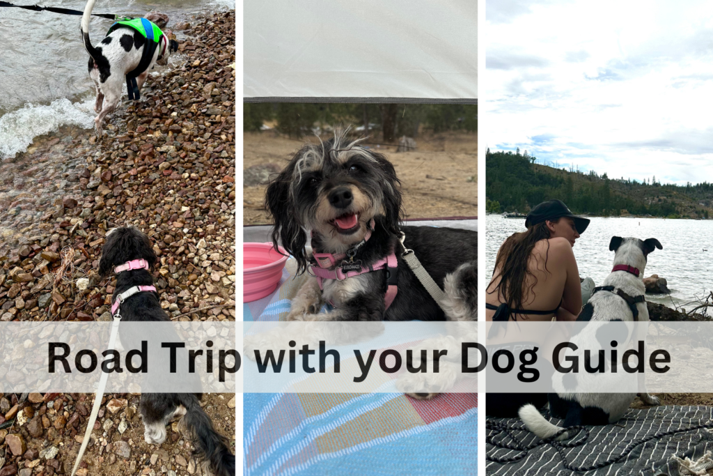 Road Trip with Your Dog Guide