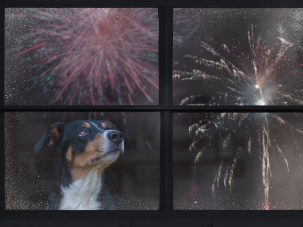 dogs and fireworks tips