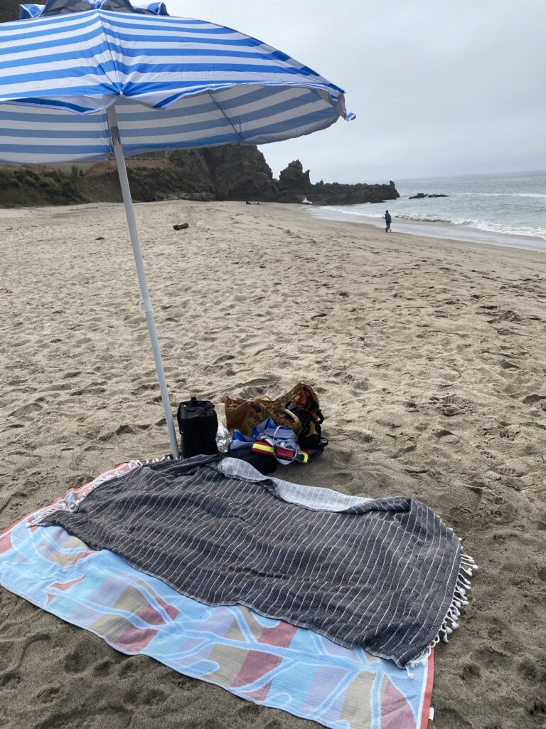  beach day with your dog