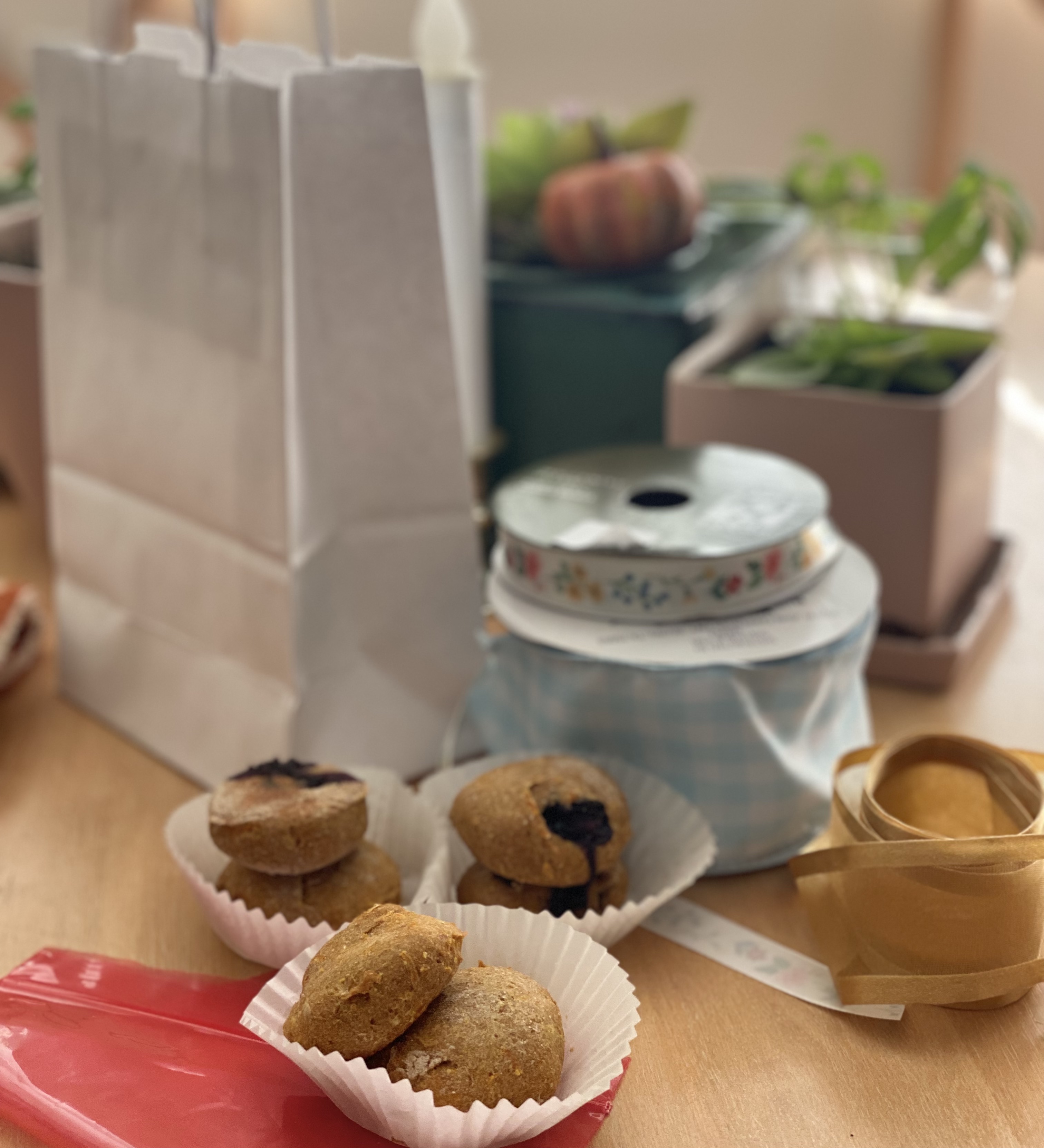 Homemade fall dog treats