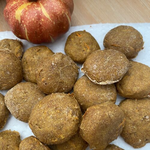 Homemade Pumpkin, Banana, Carrot, Peanut Butter Fall Dog Treats