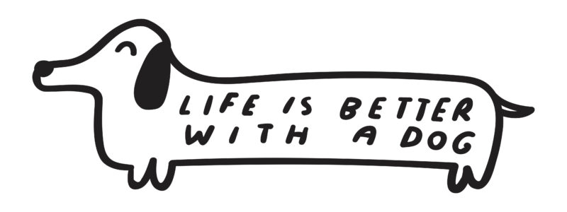 fun dog quote